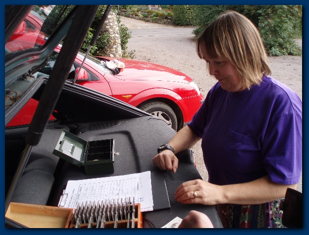 600x449 pixels (140K)